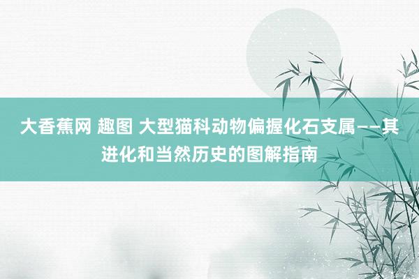 大香蕉网 趣图 大型猫科动物偏握化石支属——其进化和当然历史的图解指南