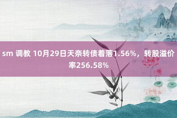 sm 调教 10月29日天奈转债着落1.56%，转股溢价率256.58%