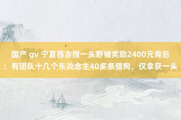 国产 gv 宁夏西吉捏一头野猪奖励2400元背后：有团队十几个东说念主40多条猎狗，仅拿获一头