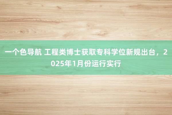 一个色导航 工程类博士获取专科学位新规出台，2025年1月份运行实行