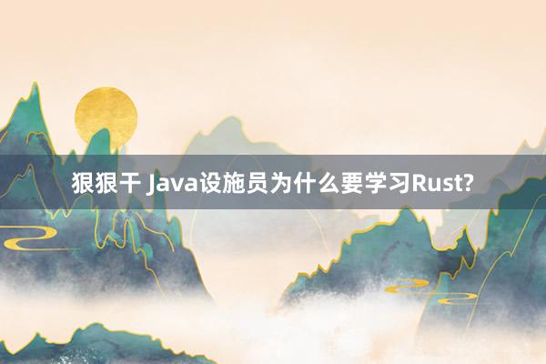 狠狠干 Java设施员为什么要学习Rust?