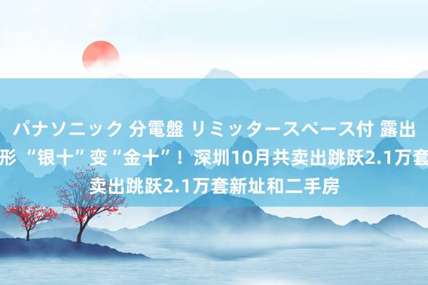 パナソニック 分電盤 リミッタースペース付 露出・半埋込両用形 “银十”变“金十”！深圳10月共卖出跳跃2.1万套新址和二手房