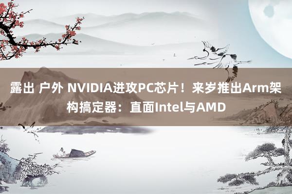 露出 户外 NVIDIA进攻PC芯片！来岁推出Arm架构搞定器：直面Intel与AMD