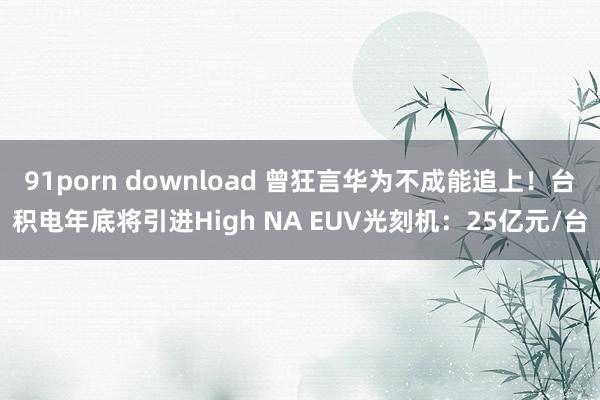 91porn download 曾狂言华为不成能追上！台积电年底将引进High NA EUV光刻机：25亿元/台