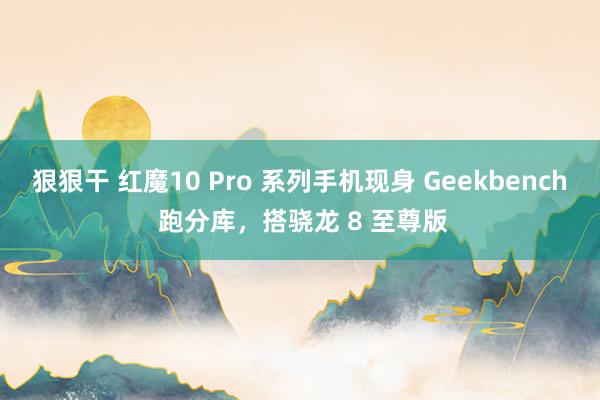 狠狠干 红魔10 Pro 系列手机现身 Geekbench 跑分库，搭骁龙 8 至尊版