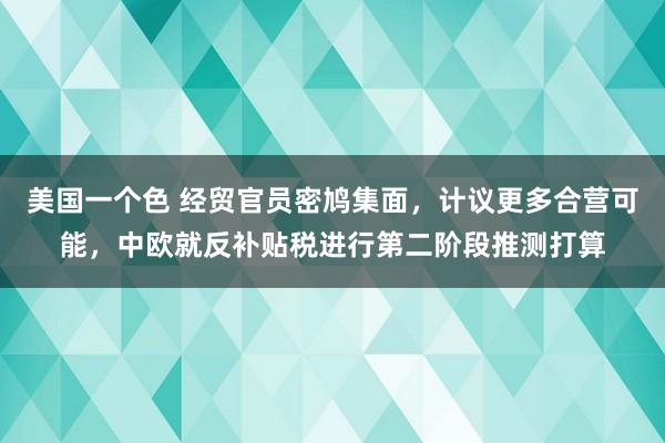 美国一个色 经贸官员密鸠集面，计议更多合营可能，中欧就反补贴税进行第二阶段推测打算