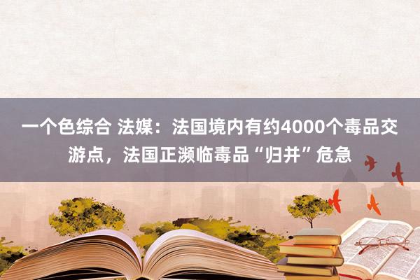 一个色综合 法媒：法国境内有约4000个毒品交游点，法国正濒临毒品“归并”危急