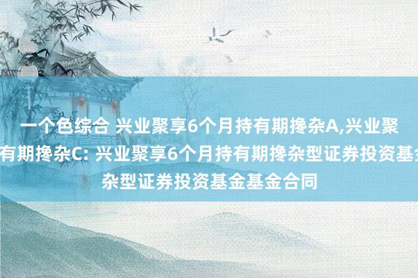 一个色综合 兴业聚享6个月持有期搀杂A，兴业聚享6个月持有期搀杂C: 兴业聚享6个月持有期搀杂型证券投资基金基金合同