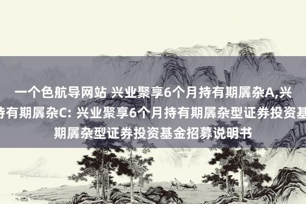 一个色航导网站 兴业聚享6个月持有期羼杂A，兴业聚享6个月持有期羼杂C: 兴业聚享6个月持有期羼杂型证券投资基金招募说明书