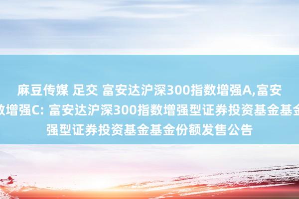 麻豆传媒 足交 富安达沪深300指数增强A，富安达沪深300指数增强C: 富安达沪深300指数增强型证券投资基金基金份额发售公告