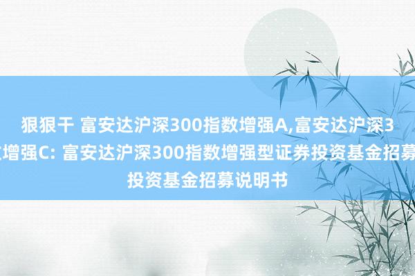 狠狠干 富安达沪深300指数增强A，富安达沪深300指数增强C: 富安达沪深300指数增强型证券投资基金招募说明书