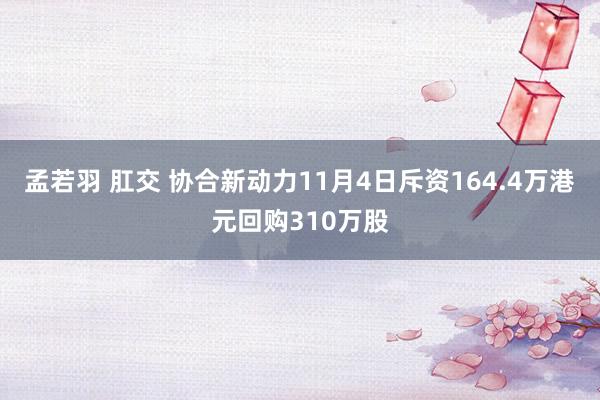 孟若羽 肛交 协合新动力11月4日斥资164.4万港元回购310万股