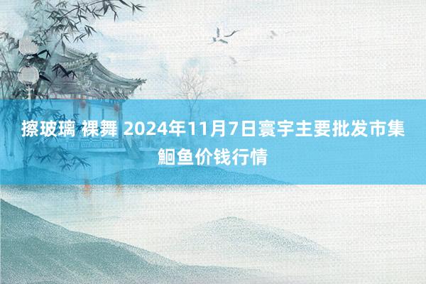 擦玻璃 裸舞 2024年11月7日寰宇主要批发市集鮰鱼价钱行情