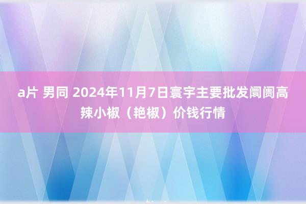 a片 男同 2024年11月7日寰宇主要批发阛阓高辣小椒（艳椒）价钱行情