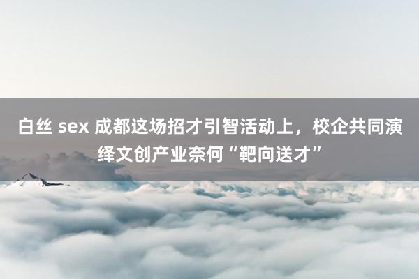 白丝 sex 成都这场招才引智活动上，校企共同演绎文创产业奈何“靶向送才”