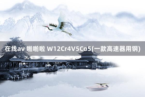 在线av 啪啪啦 W12Cr4V5Co5(一款高速器用钢)