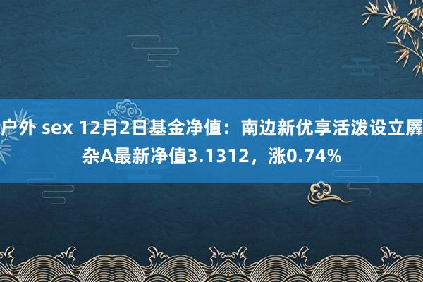 户外 sex 12月2日基金净值：南边新优享活泼设立羼杂A最新净值3.1312，涨0.74%