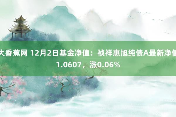 大香蕉网 12月2日基金净值：祯祥惠旭纯债A最新净值1.0607，涨0.06%