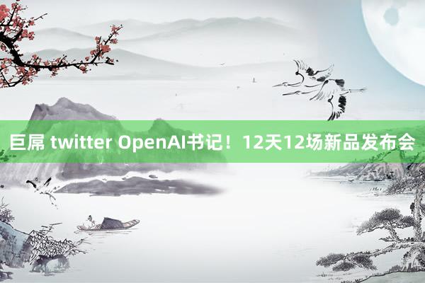 巨屌 twitter OpenAI书记！12天12场新品发布会