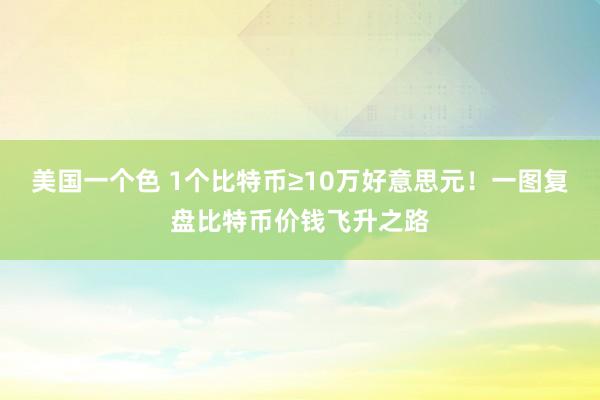 美国一个色 1个比特币≥10万好意思元！一图复盘比特币价钱飞升之路