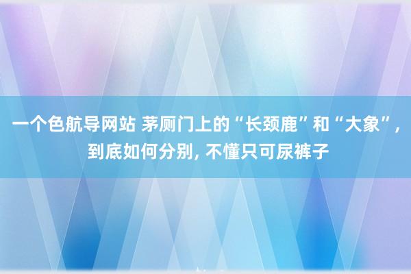 一个色航导网站 茅厕门上的“长颈鹿”和“大象”， 到底如何分别， 不懂只可尿裤子