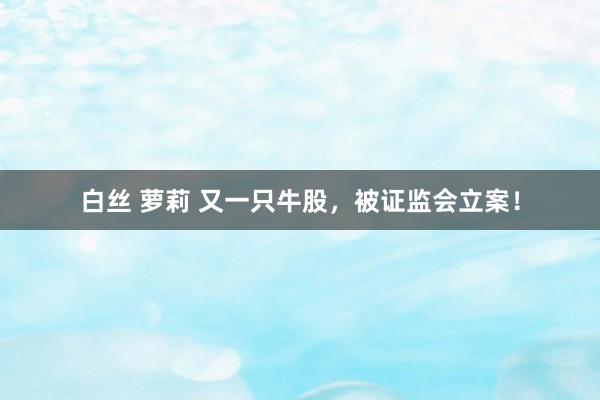 白丝 萝莉 又一只牛股，被证监会立案！