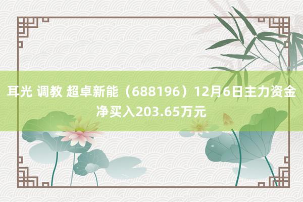 耳光 调教 超卓新能（688196）12月6日主力资金净买入203.65万元