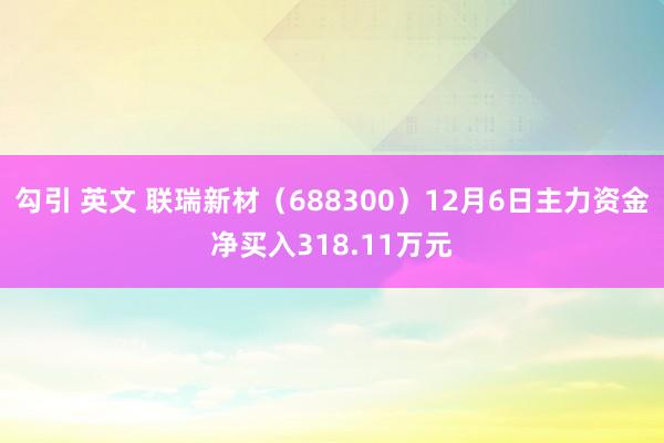 勾引 英文 联瑞新材（688300）12月6日主力资金净买入318.11万元