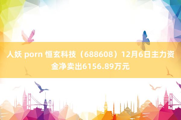 人妖 porn 恒玄科技（688608）12月6日主力资金净卖出6156.89万元