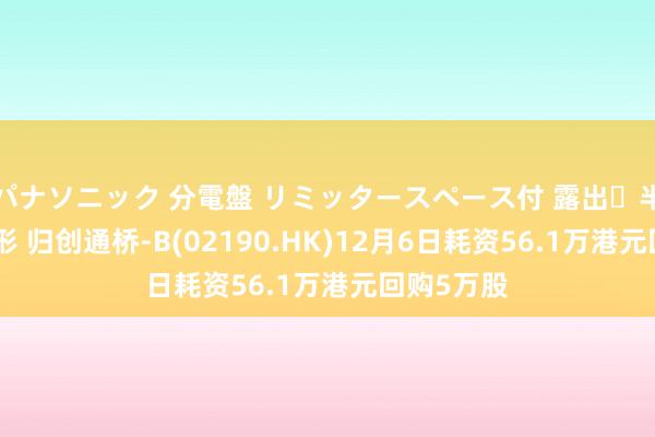 パナソニック 分電盤 リミッタースペース付 露出・半埋込両用形 归创通桥-B(02190.HK)12月6日耗资56.1万港元回购5万股