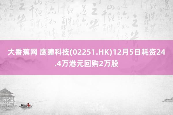 大香蕉网 鹰瞳科技(02251.HK)12月5日耗资24.4万港元回购2万股