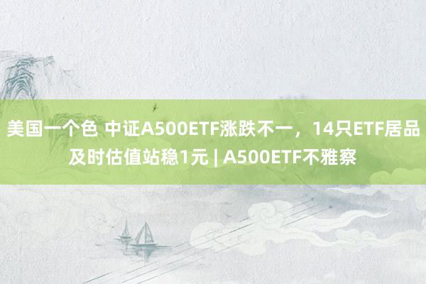 美国一个色 中证A500ETF涨跌不一，14只ETF居品及时估值站稳1元 | A500ETF不雅察