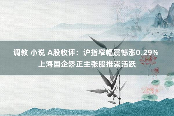 调教 小说 A股收评：沪指窄幅震憾涨0.29% 上海国企矫正主张股推崇活跃