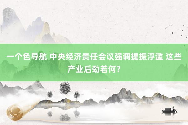 一个色导航 中央经济责任会议强调提振浮滥 这些产业后劲若何？