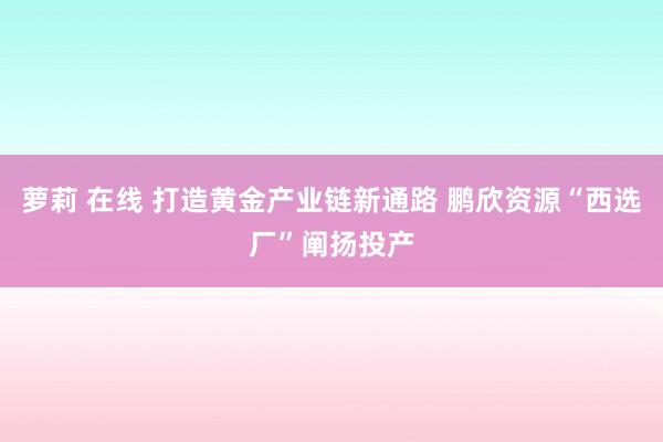 萝莉 在线 打造黄金产业链新通路 鹏欣资源“西选厂”阐扬投产