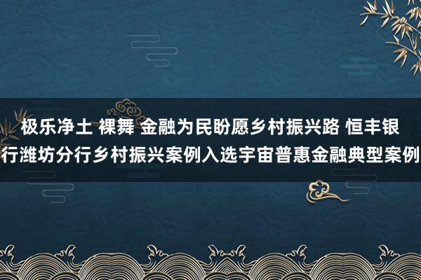 极乐净土 裸舞 金融为民盼愿乡村振兴路 恒丰银行潍坊分行乡村振兴案例入选宇宙普惠金融典型案例