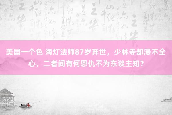 美国一个色 海灯法师87岁弃世，少林寺却漫不全心，二者间有何恩仇不为东谈主知？