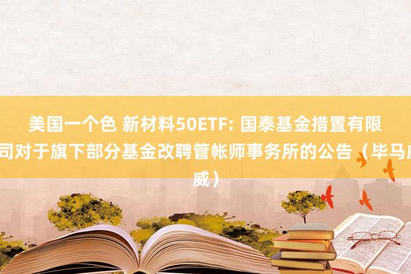 美国一个色 新材料50ETF: 国泰基金措置有限公司对于旗下部分基金改聘管帐师事务所的公告（毕马威）