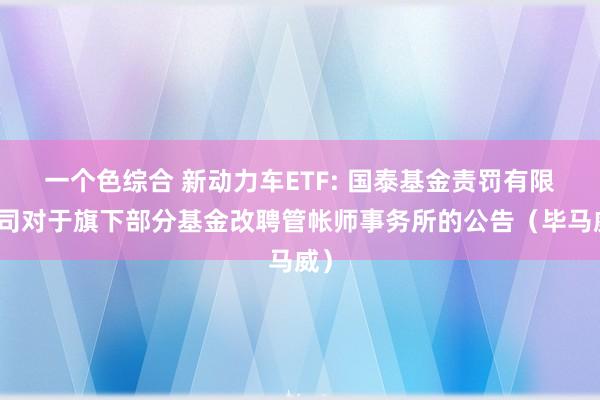 一个色综合 新动力车ETF: 国泰基金责罚有限公司对于旗下部分基金改聘管帐师事务所的公告（毕马威）