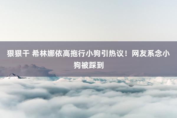 狠狠干 希林娜依高拖行小狗引热议！网友系念小狗被踩到