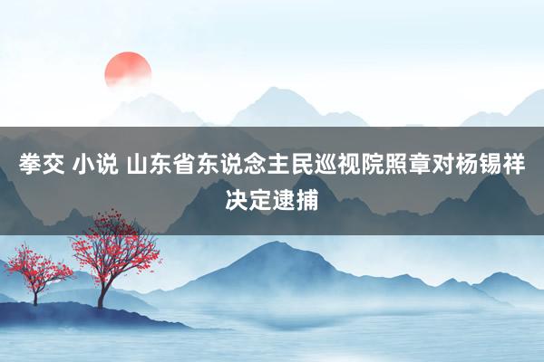 拳交 小说 山东省东说念主民巡视院照章对杨锡祥决定逮捕