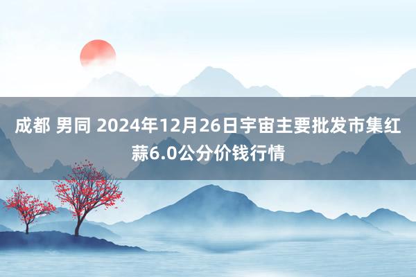 成都 男同 2024年12月26日宇宙主要批发市集红蒜6.0公分价钱行情