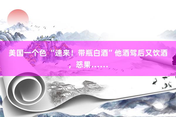 美国一个色 “速来！带瓶白酒”他酒驾后又饮酒，恶果……