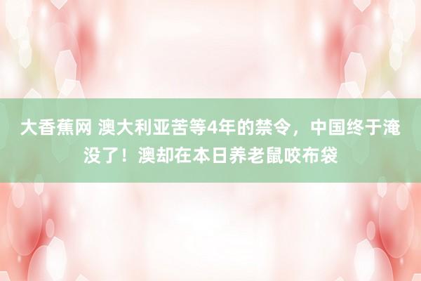 大香蕉网 澳大利亚苦等4年的禁令，中国终于淹没了！澳却在本日养老鼠咬布袋