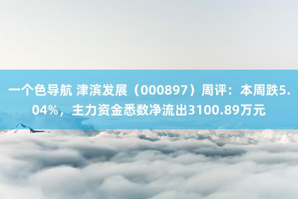 一个色导航 津滨发展（000897）周评：本周跌5.04%，主力资金悉数净流出3100.89万元