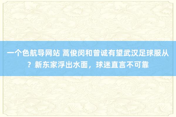 一个色航导网站 蒿俊闵和曾诚有望武汉足球服从？新东家浮出水面，球迷直言不可靠