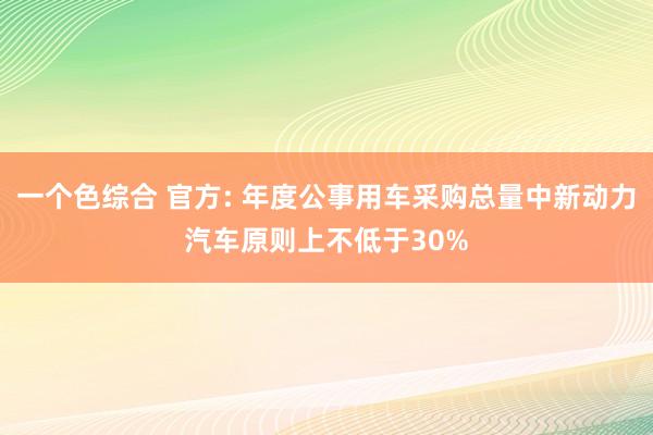 一个色综合 官方: 年度公事用车采购总量中新动力汽车原则上不低于30%