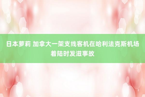 日本萝莉 加拿大一架支线客机在哈利法克斯机场着陆时发滋事故