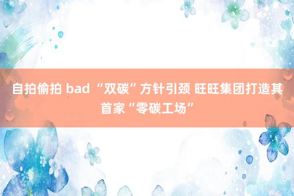 自拍偷拍 bad “双碳”方针引颈 旺旺集团打造其首家“零碳工场”