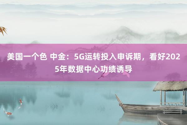 美国一个色 中金：5G运转投入申诉期，看好2025年数据中心功绩诱导